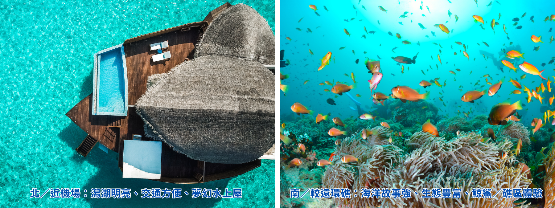 馬爾地夫北邊潟湖與南邊海洋生態選島比較圖